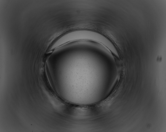 X0000091480164200708301922