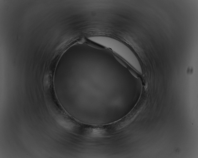 X0000091480165200708301922