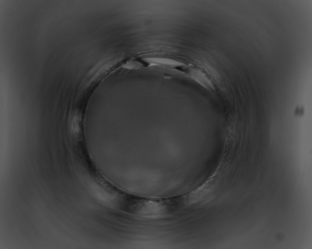 X0000091480166200708301922