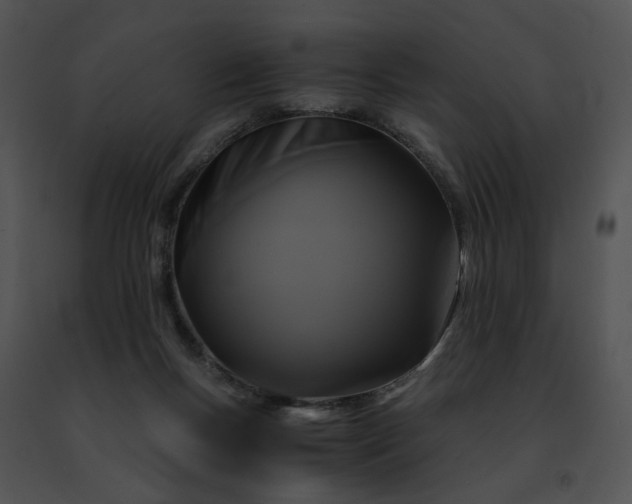 X0000091480167200708301922