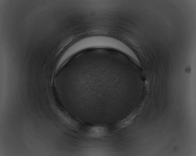 X0000091480168200708301922