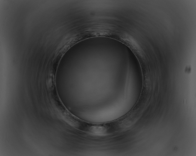 X0000091480169200708301922