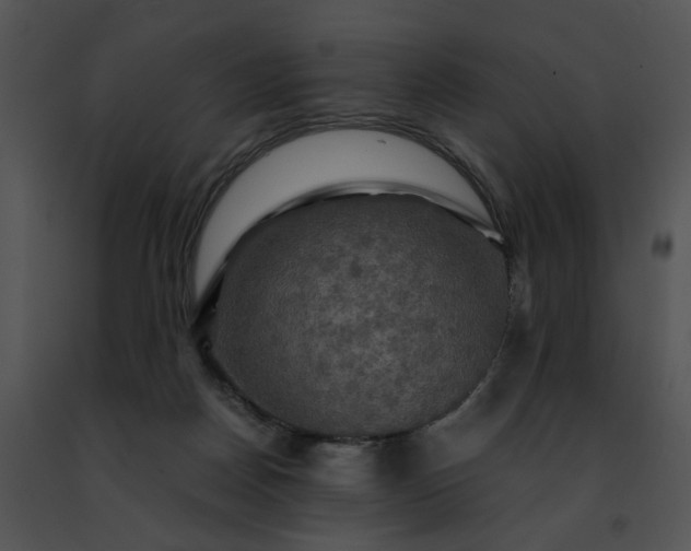 X0000091480170200708301922