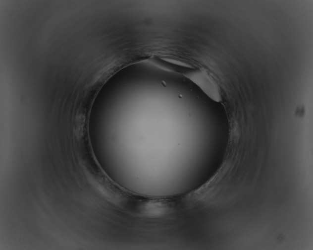 X0000091480171200708301922