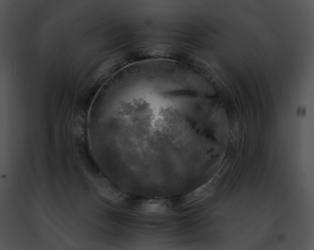 X0000091480175200708301922