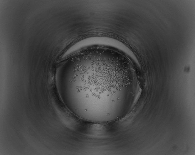 X0000091480176200708301922
