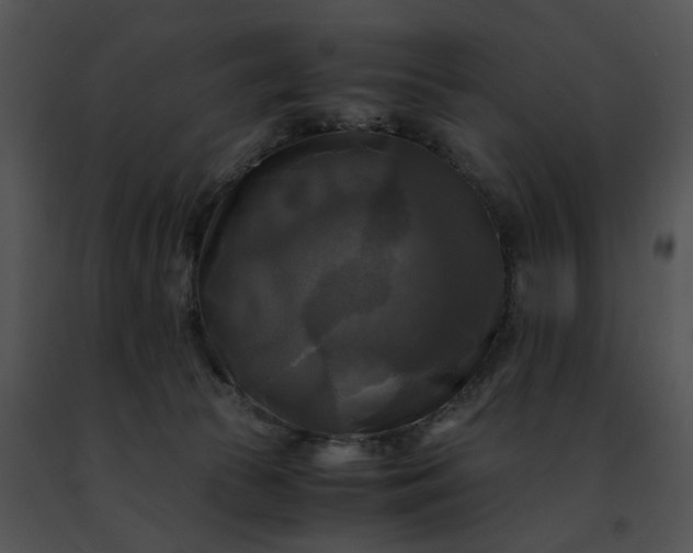 X0000091480177200708301922