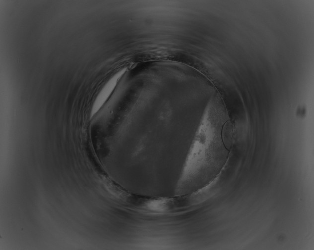 X0000091480178200708301922