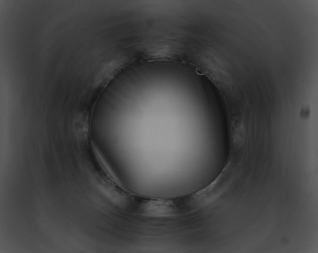 X0000091480179200708301922