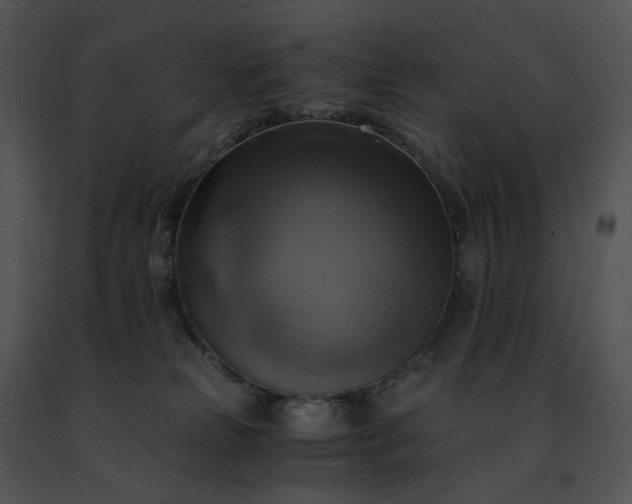 X0000091480181200708301922