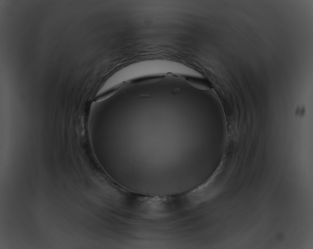 X0000091480182200708301922