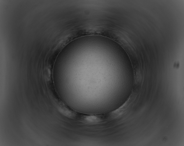 X0000091480183200708301922