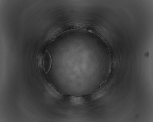 X0000091480185200708301922