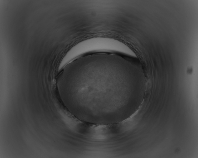 X0000091480186200708301922