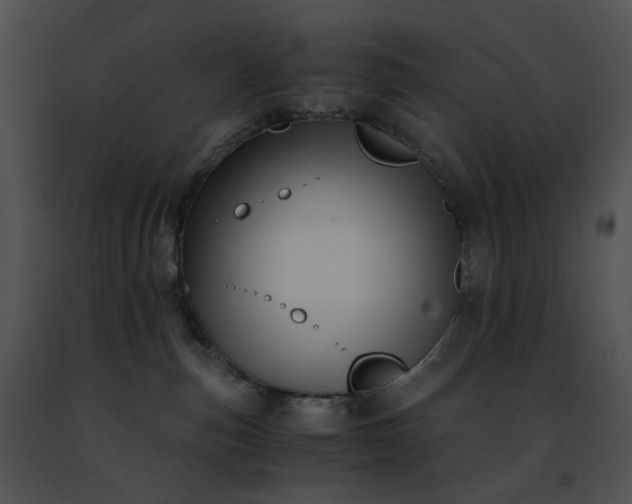 X0000091480187200708301922