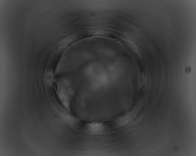 X0000091480189200708301922