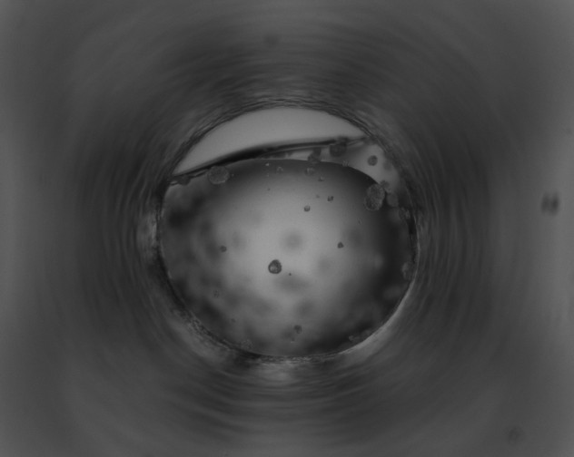 X0000091480190200708301922