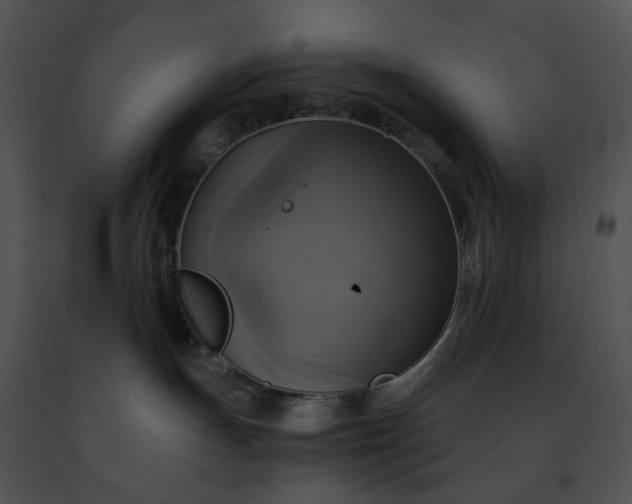 X0000091480191200708301922