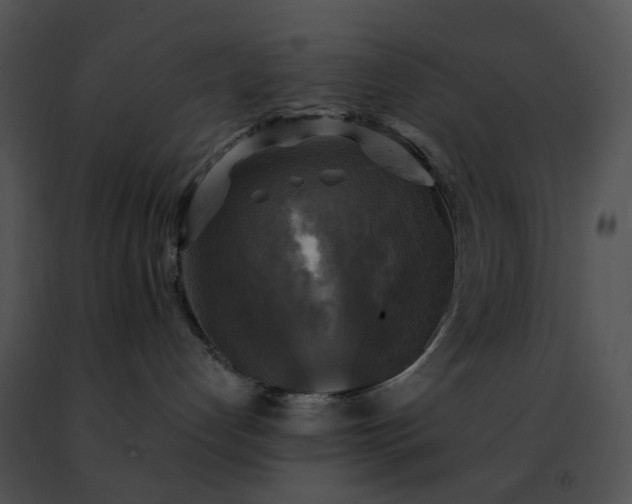 X0000091480192200708301922