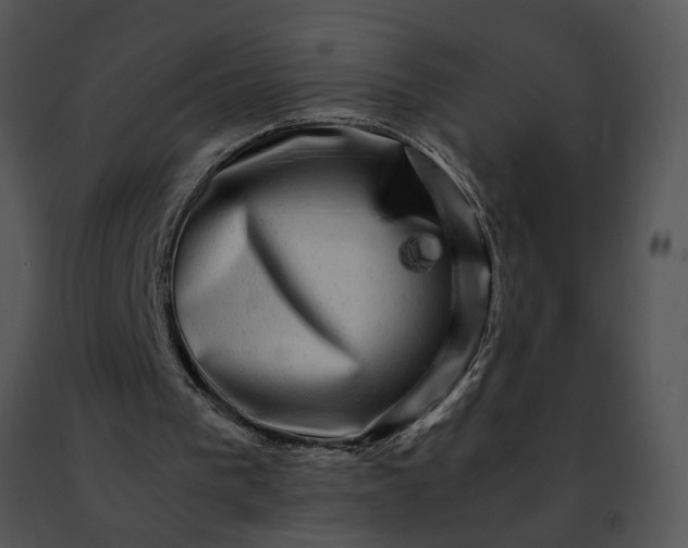 X0000091480193200708301922