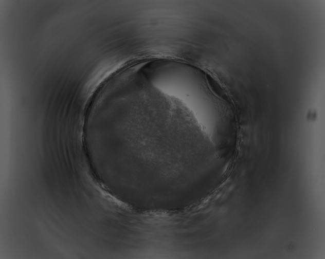 X0000091480194200708301922