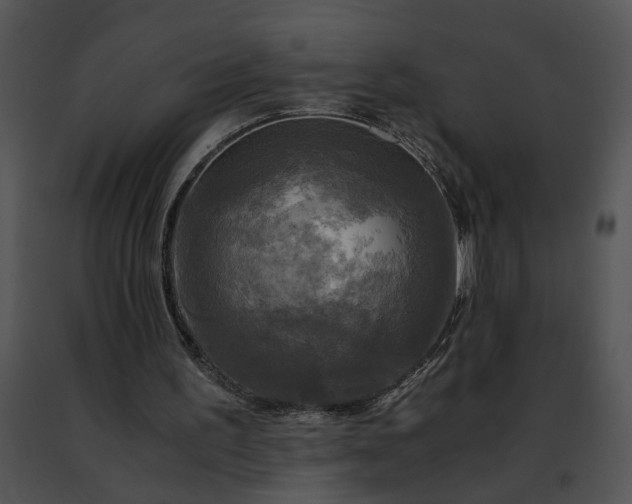 X0000091480195200708301922