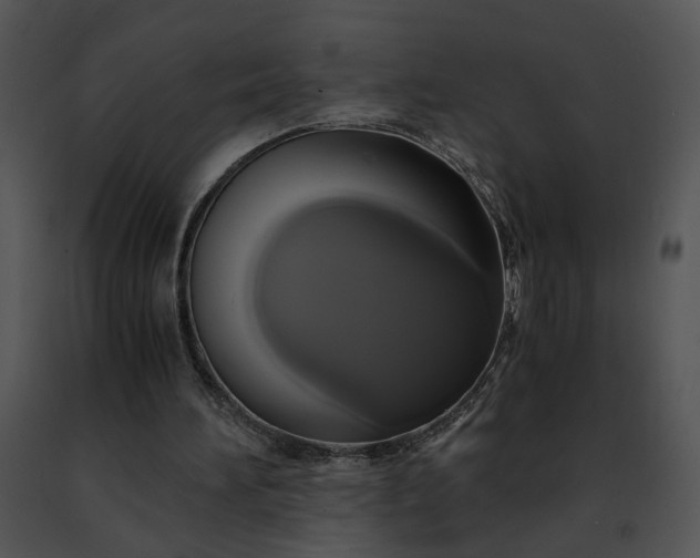 X0000091480196200708301922