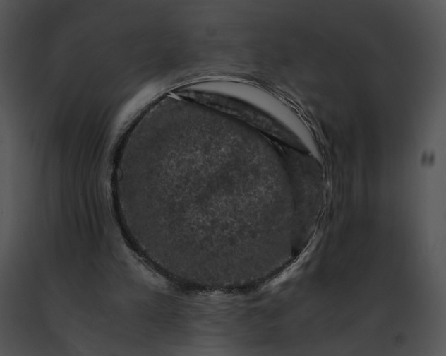 X0000091480197200708301922