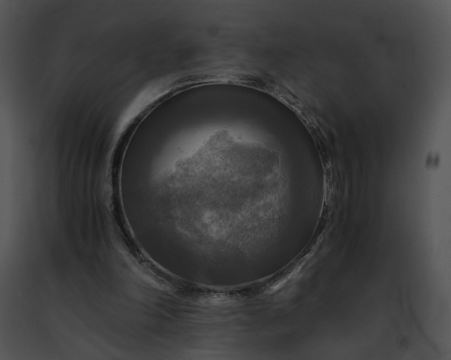 X0000091480198200708301922