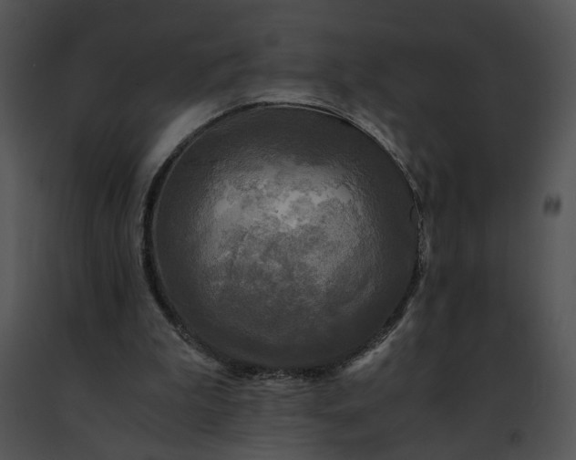 X0000091480199200708301922