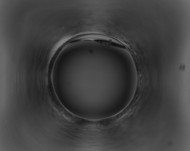 X0000091480200200708301922