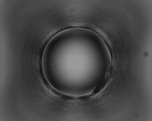 X0000091480201200708301922