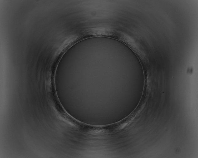 X0000091480202200708301922