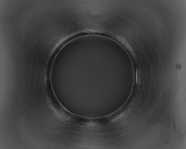 X0000091480204200708301921