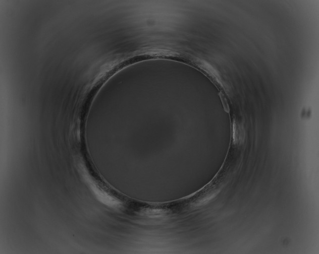 X0000091480205200708301921