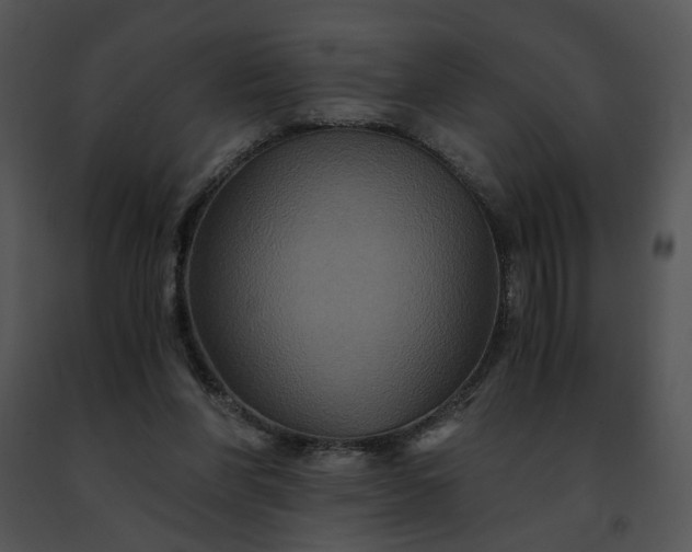 X0000091480206200708301921