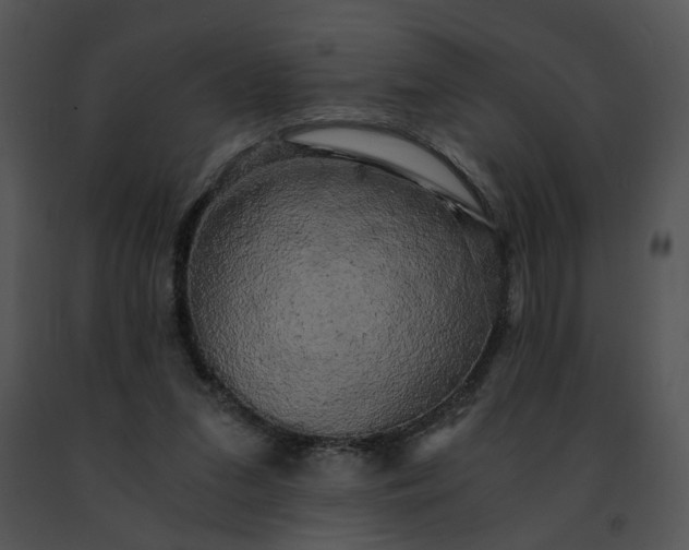 X0000091480207200708301921