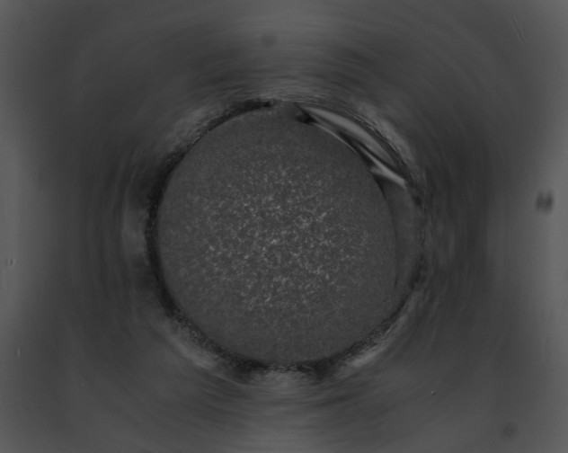 X0000091480209200708301921