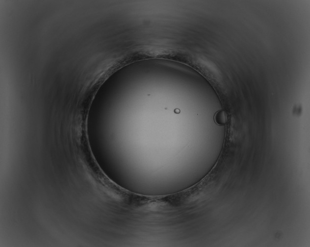 X0000091480210200708301921