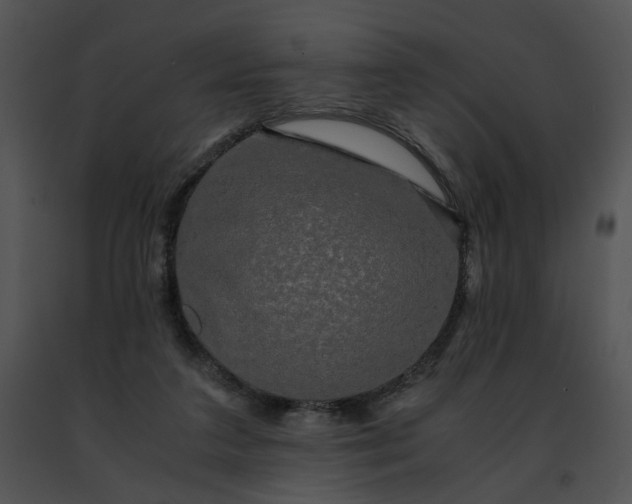 X0000091480211200708301921