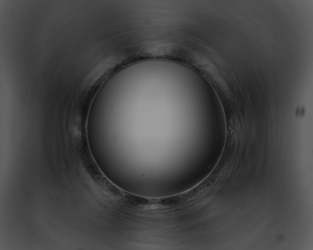 X0000091480212200708301921