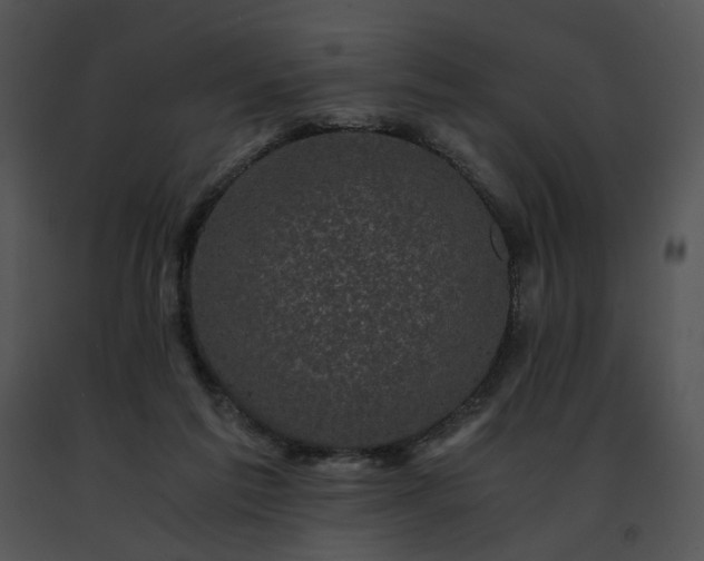 X0000091480213200708301921