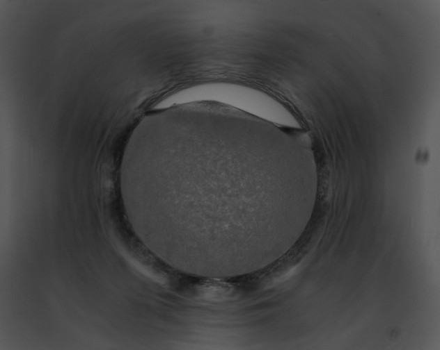 X0000091480215200708301921