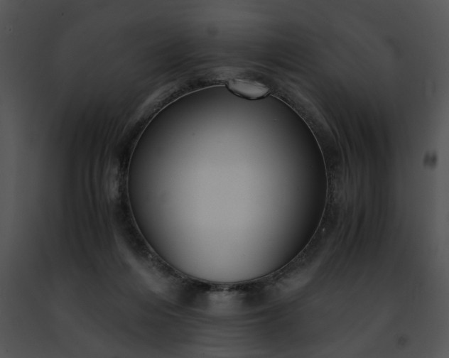 X0000091480216200708301921