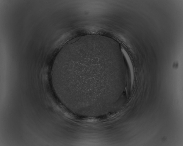 X0000091480217200708301921