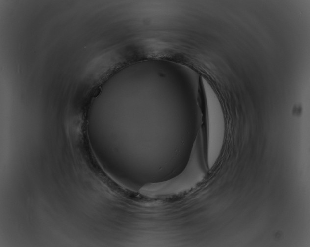 X0000091480219200708301921