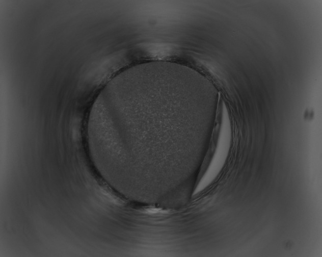 X0000091480221200708301921