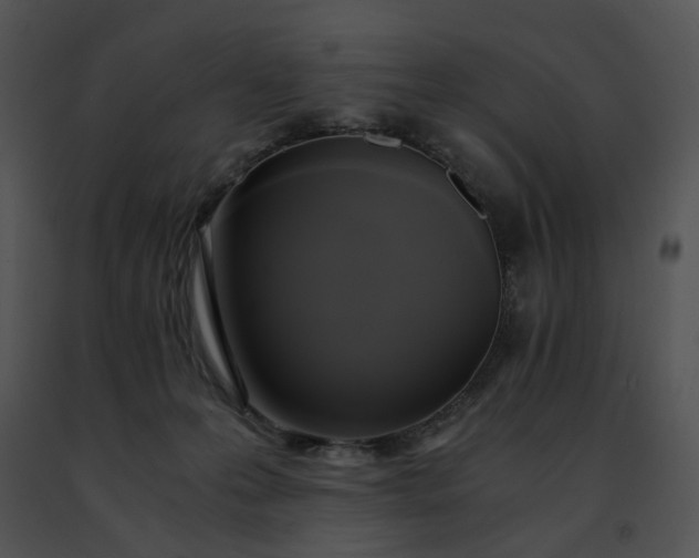 X0000091480223200708301921