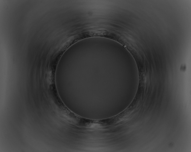 X0000091480224200708301921