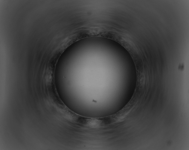 X0000091480226200708301921